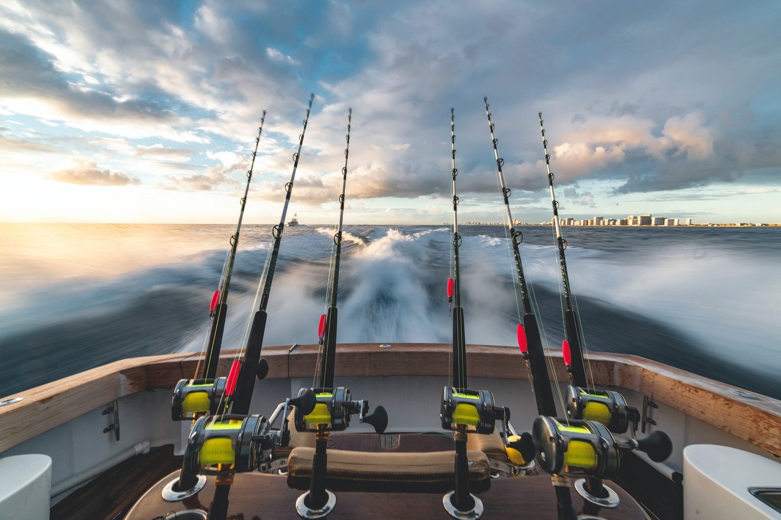 How to Choose Your Fishing Rod – A Clear 2024 Guide