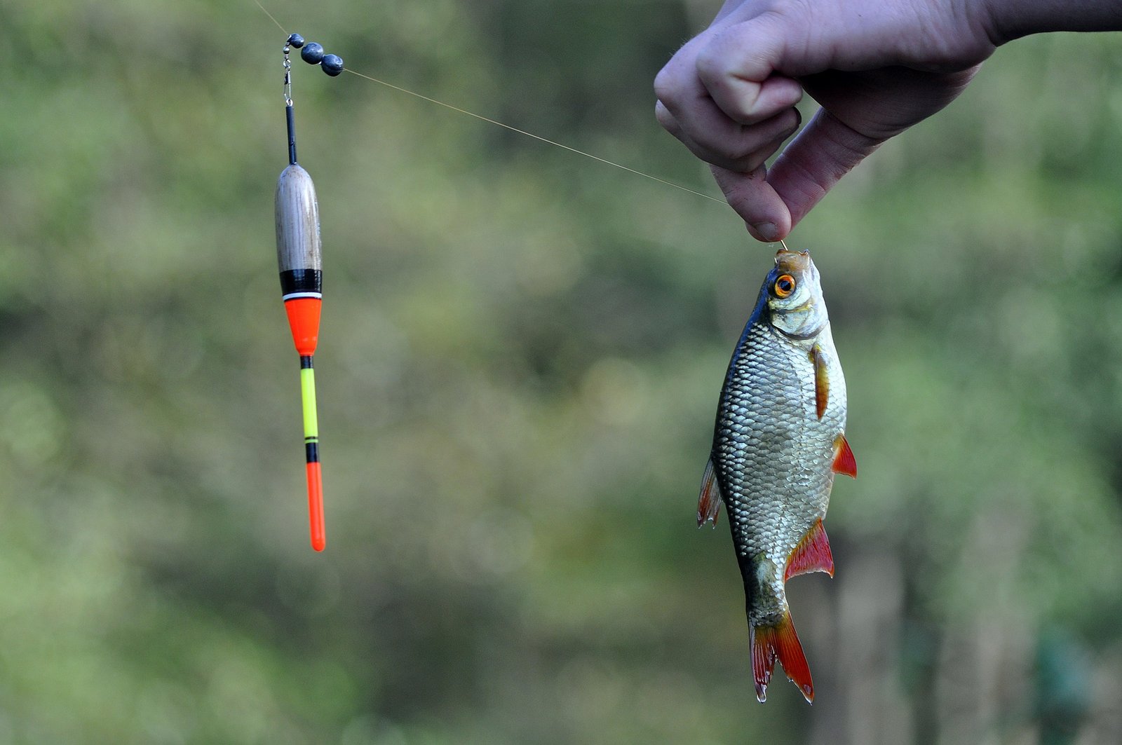 Best Fishing Bobbers: All Types of Floats Explained