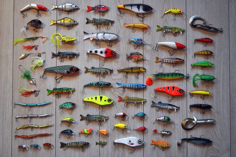 Best Fishing Lure Sizes: How to Choose the Right Size – DailyFishers