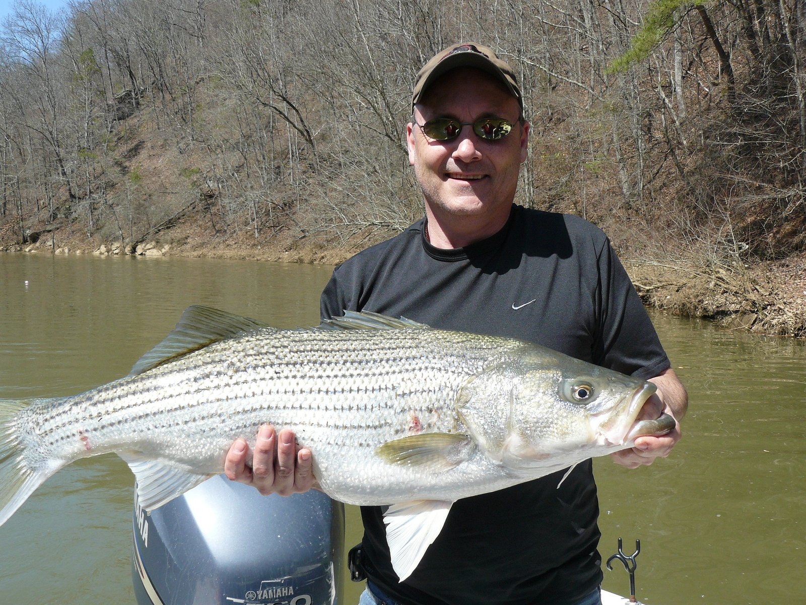 Best Baits for Striper Fishing: Top Picks and Techniques