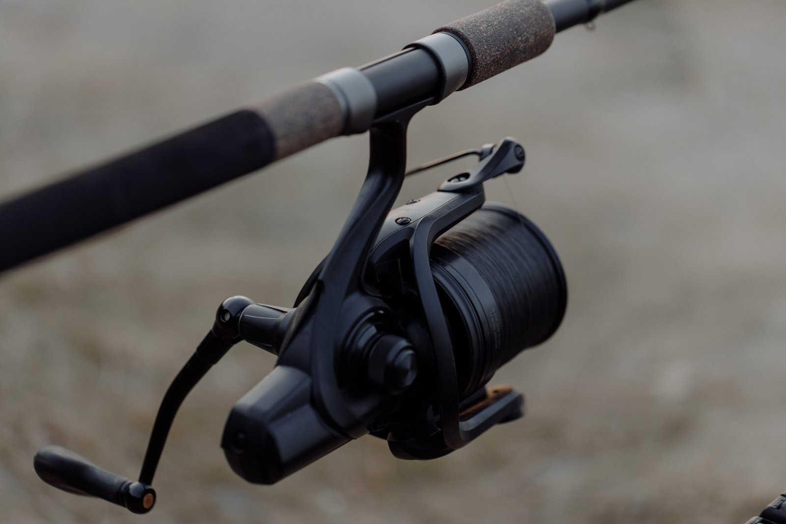 Best Fishing Reels for Carp