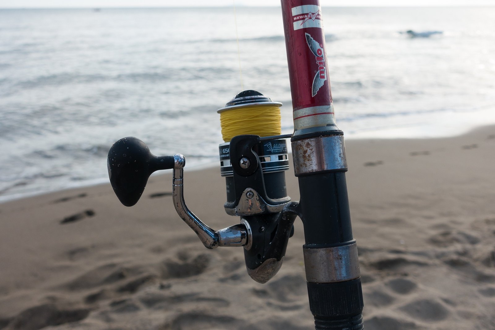 Does Fishing Line Color Even Matter in Saltwater? Unpacking the Facts